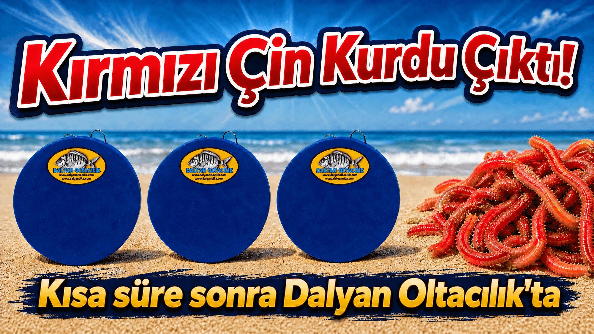 Canlı Deniz Solucanı ve Canlı Yem Çeşitleri – Kıyı Balıkçılığı Rehberi